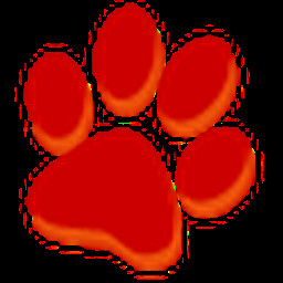 大猫视频软件2024最新版本 5.0.0