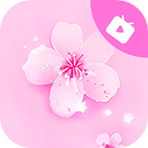 桃花视频观看完整版