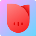 草鱼app