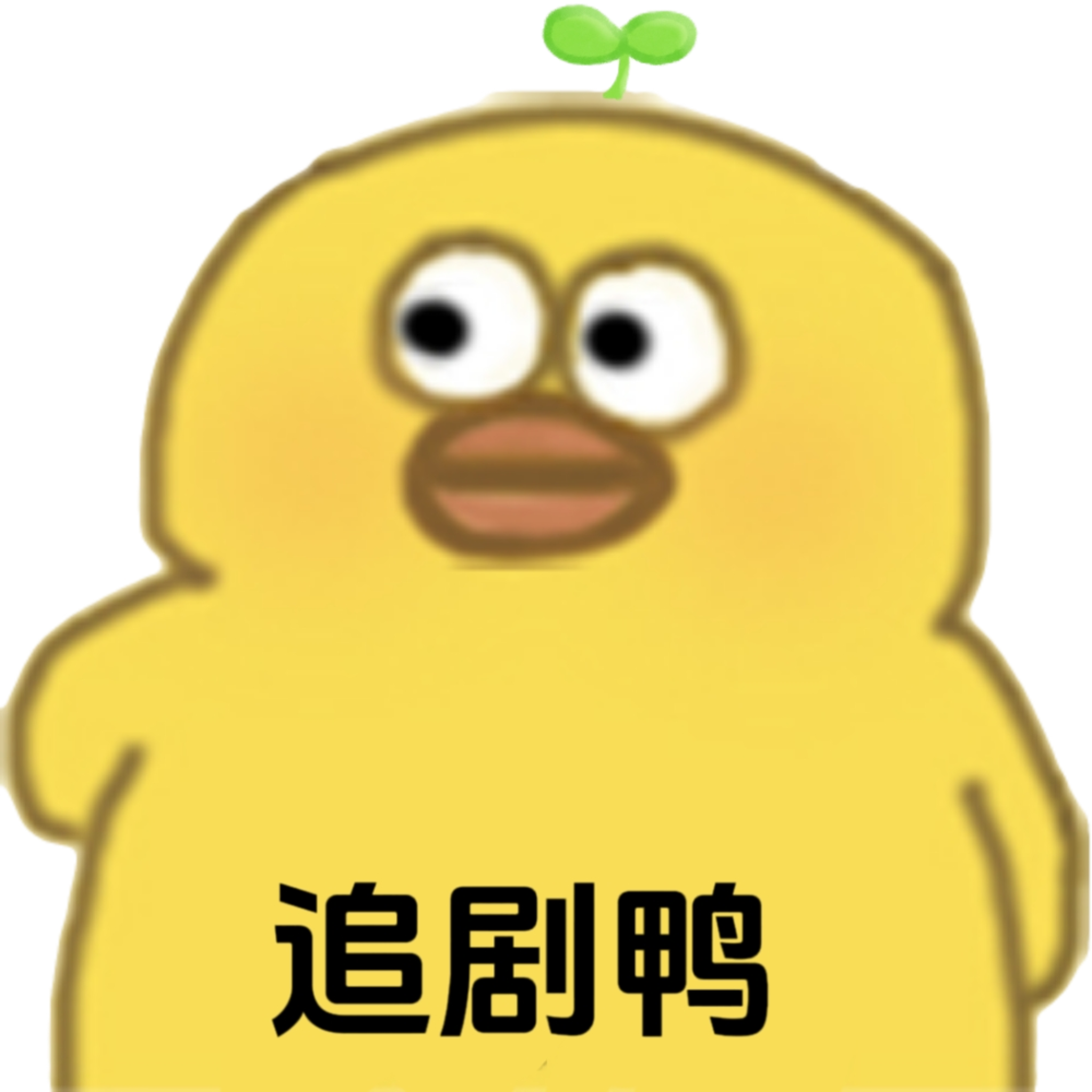 追剧鸭TV安卓版 v9527