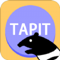 
                Tapit英语
            