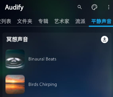 audify音乐播放器纯净版