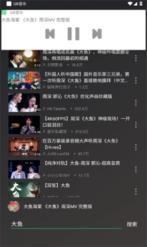 QB音乐截图