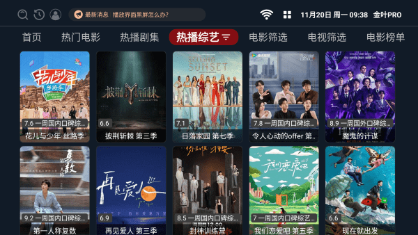 金叶PRO截图