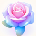 全景富贵壁纸APP v1.0.1
