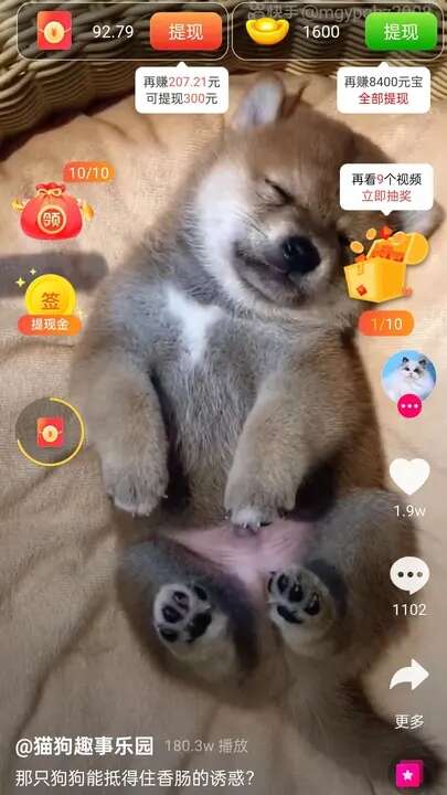 斑点狗APP红包版图片2