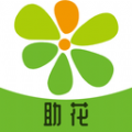 助花app v1.261