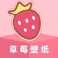 草莓壁纸大全app v1.1