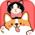 旺旺喵喵宠物翻译器APP v1.0.1