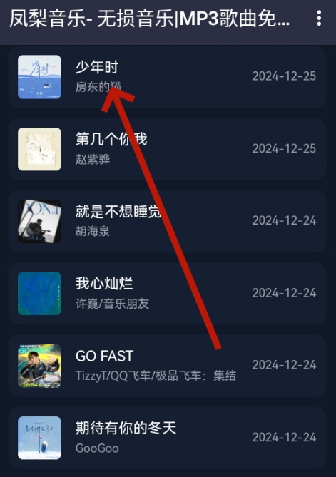 凤梨音乐播放器