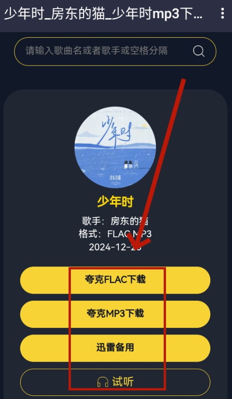 凤梨音乐播放器