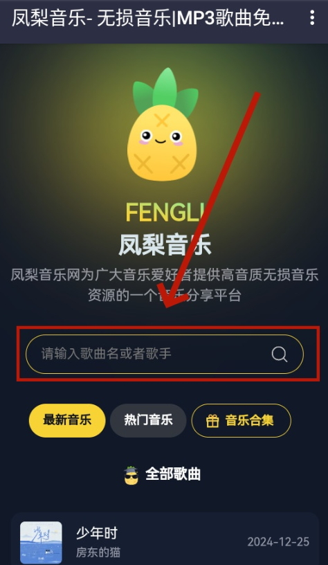 凤梨音乐播放器